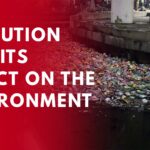 Pollution is a Global Problem || SCIENCE ON THE STREET