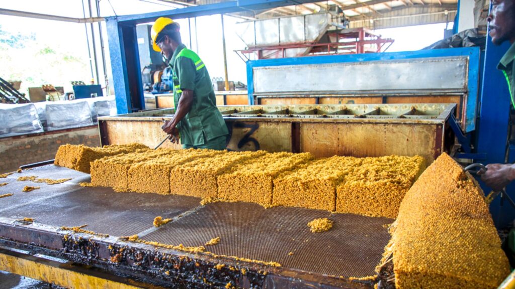Ghana rubber sector loses $100 mln annually over low processing