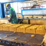 Ghana rubber sector loses $100 mln annually over low processing