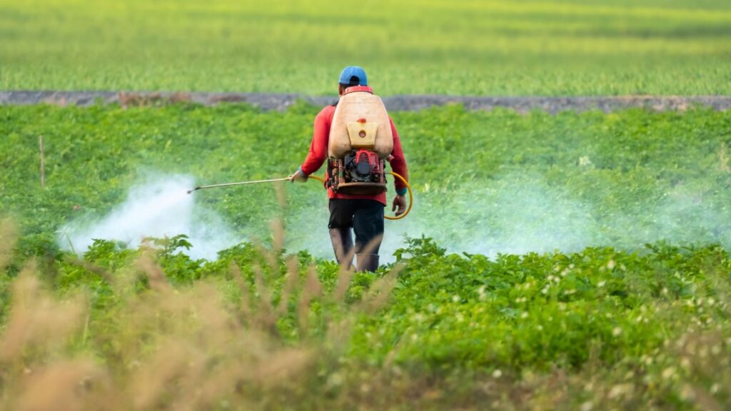 EU Accused of Double Standards After 9,000 Tons of Banned Pesticides Sent to Africa