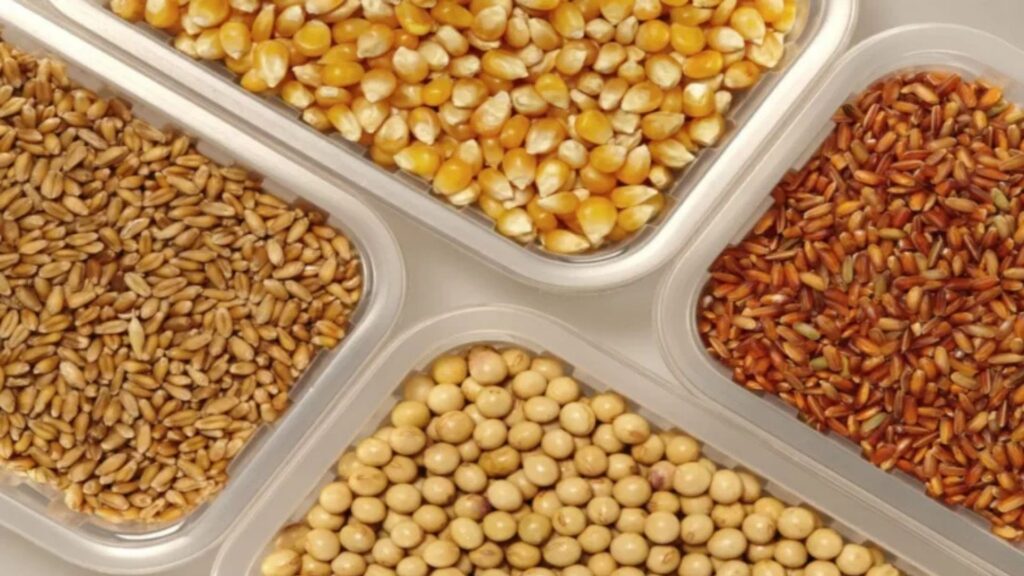 Nigeria to Import 10.1M Tons of Grain in 2025-26 as Prices Fall, Currency Holds