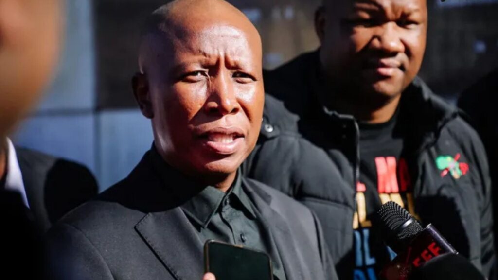 Malema vows to appeal against gun conviction as possible prison sentence looms