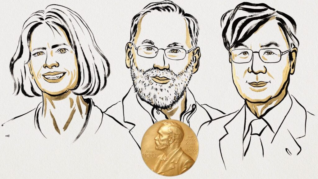 Nobel Prize in Physiology or Medicine 2025