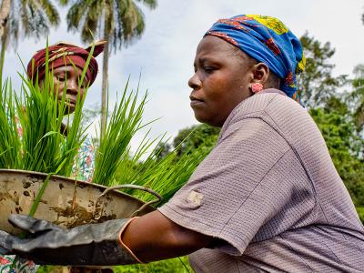 Nuclear Science Could Help Liberia Grow More Food and Fight Malnutrition